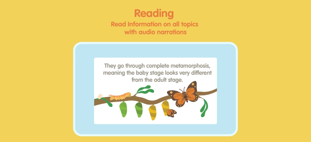 Insects and Bugs for Kids (Ages 4+) screenshot 5