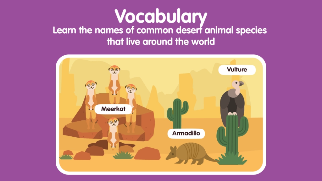 Desert Animals for Kids: Learn Names & Facts screenshot 3