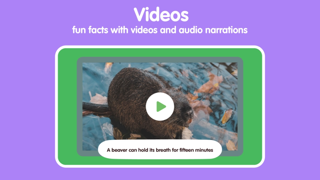 Forest Animals for Kids: Learn Names & Spelling screenshot 6