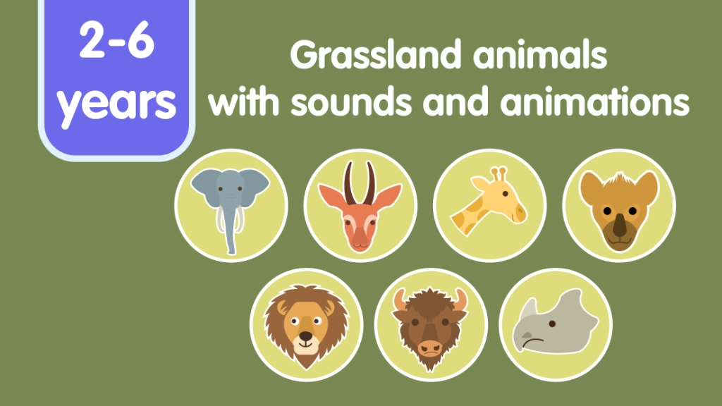 Grassland Animals for Kids screenshot 2