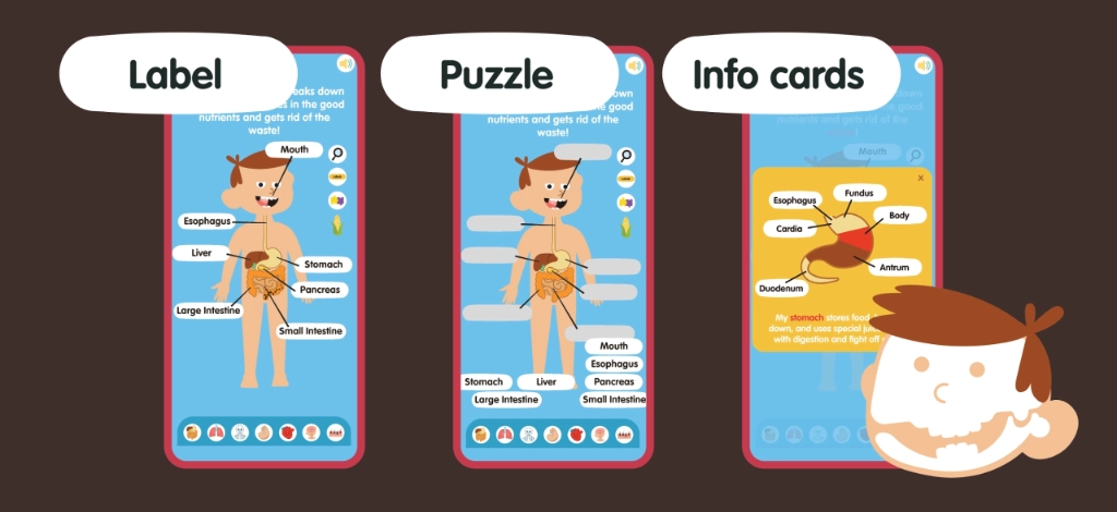 Human Body for Kids: Anatomy Learning screenshot 3