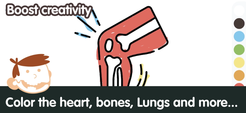 Human Body for Kids: Anatomy Learning screenshot 6