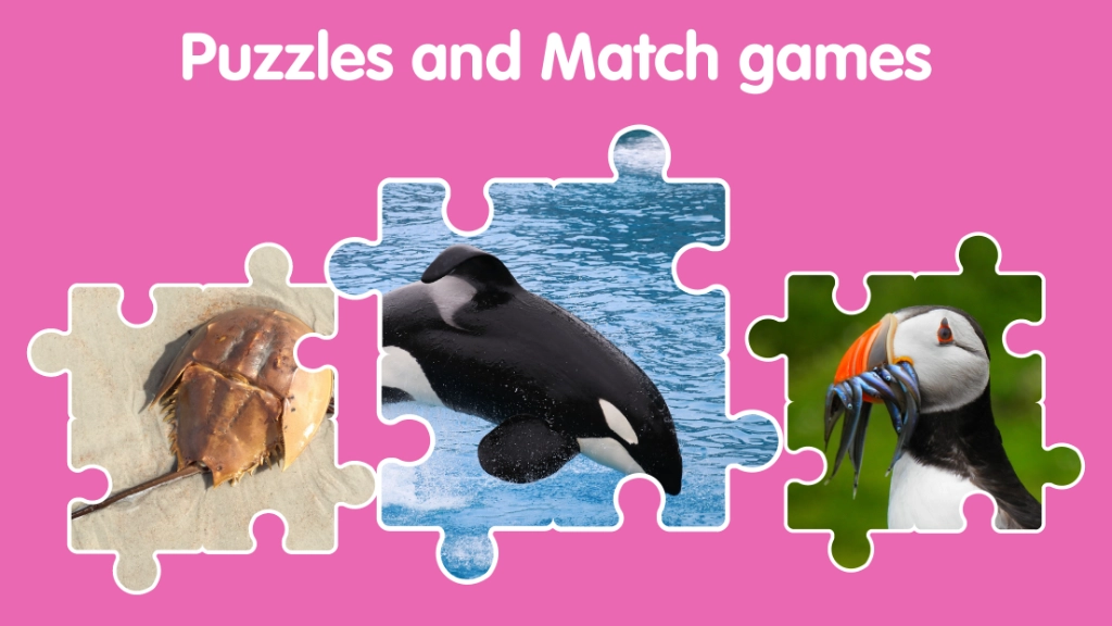 Ocean Animals for Kids screenshot 6