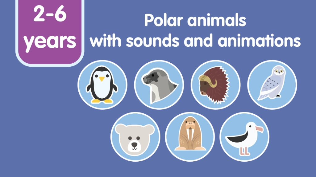 Polar Animals for Kids: Learn Names & Facts screenshot 2