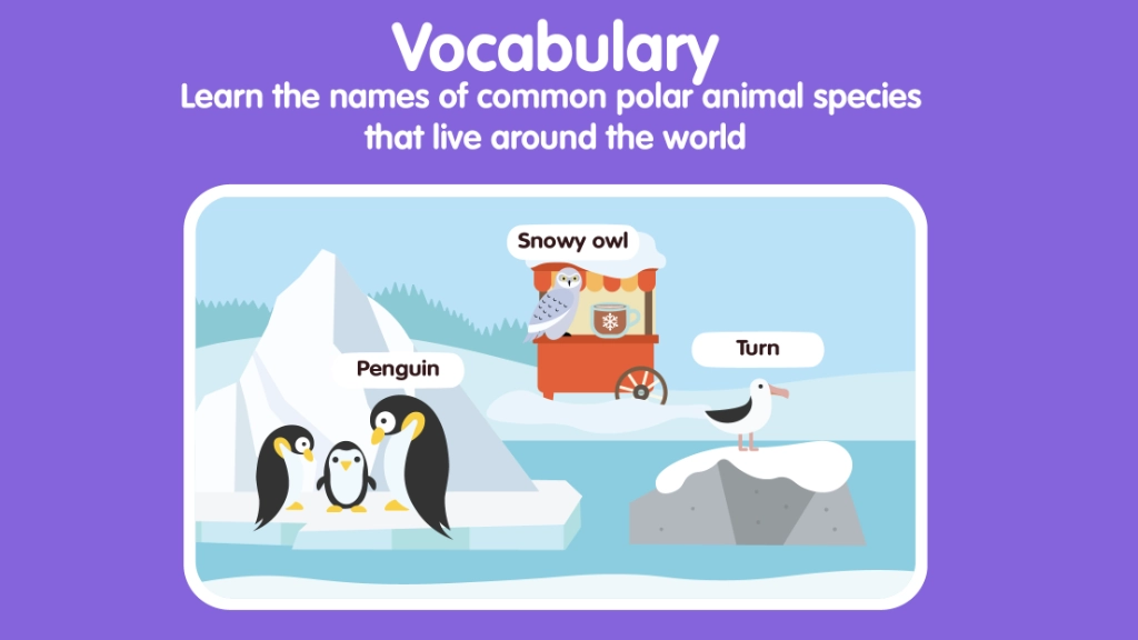 Polar Animals for Kids: Learn Names & Facts screenshot 3