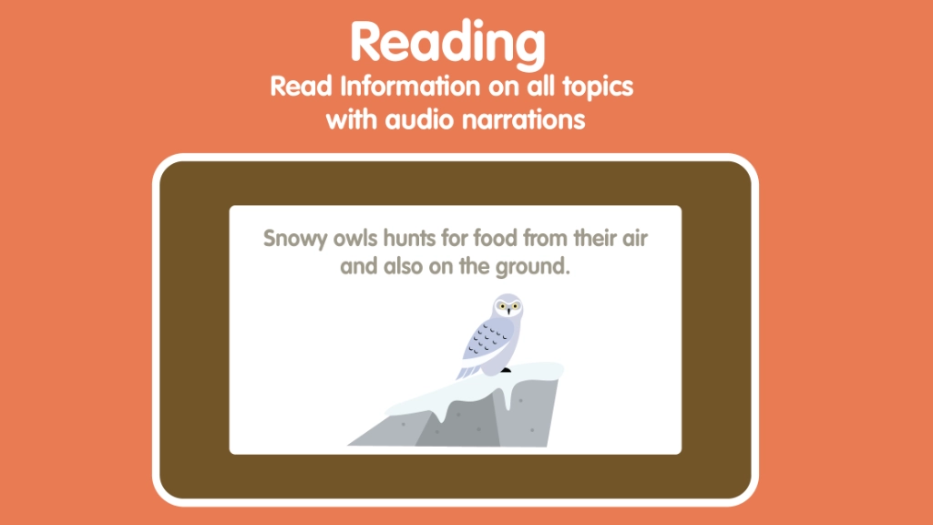 Polar Animals for Kids: Learn Names & Facts screenshot 5